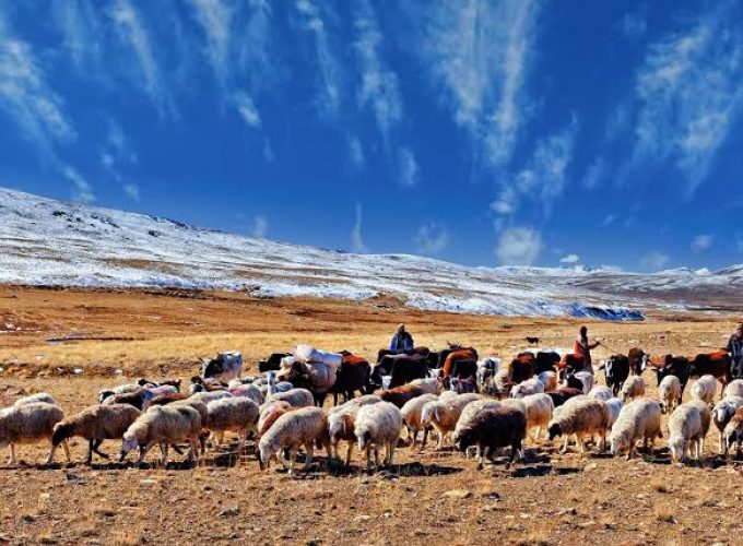 Astore and Deosai Plains