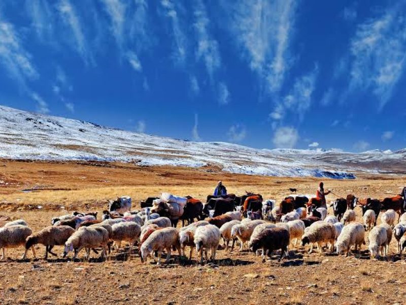 Astore and Deosai Plains