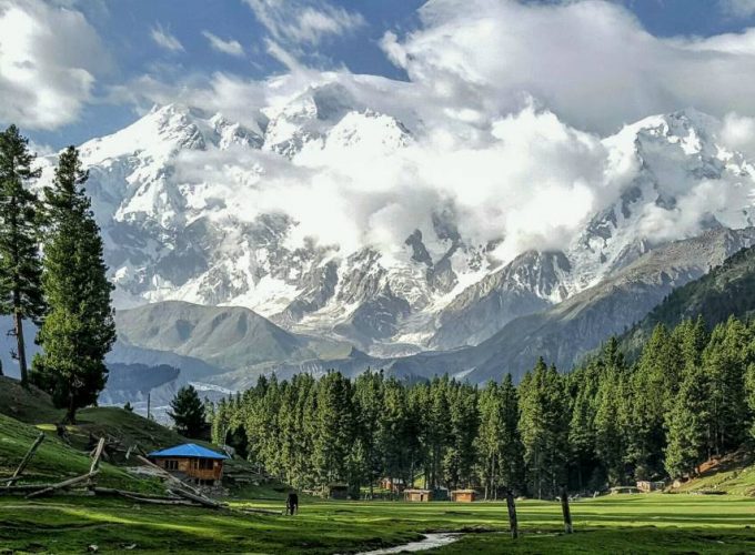 Fairy Meadows & Hunza Valley