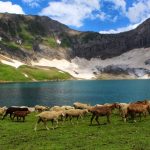 Honeymoon Tour to Ratti Gali Lake