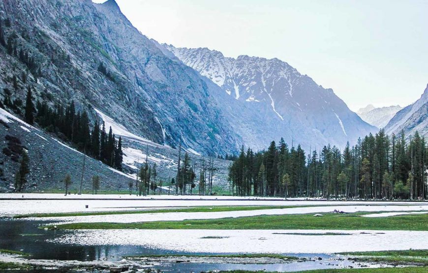 Swat & Muree
